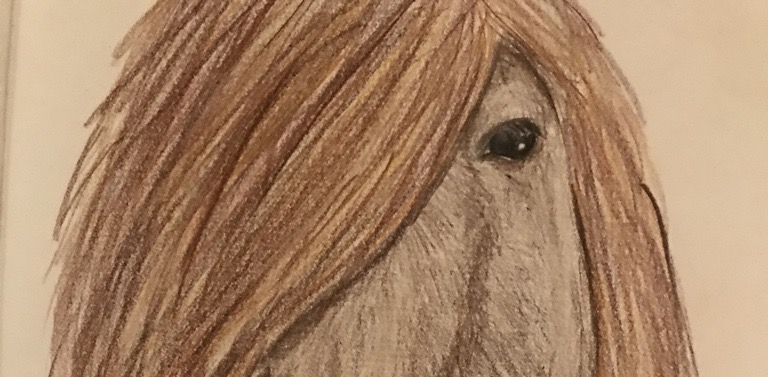 Drawing a brown hairy pony :)