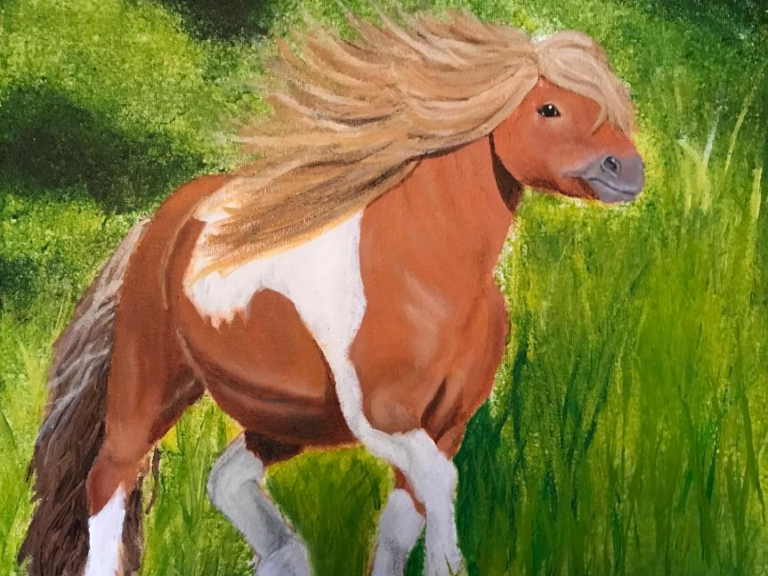 Painting a cute Shetland pony