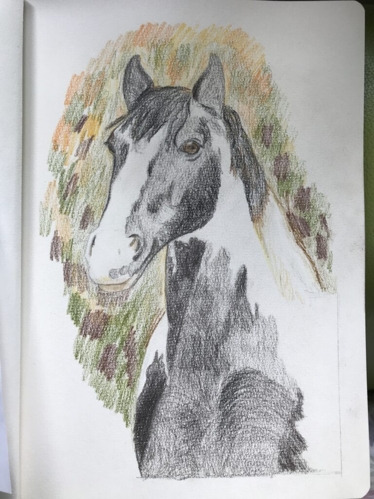 Drawing a horse I know