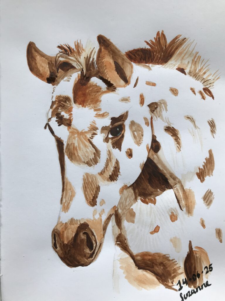 How to draw a Appaloosa horse – Day 6