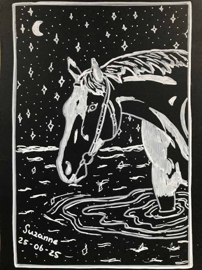 How to draw a horse in the water on a starry night