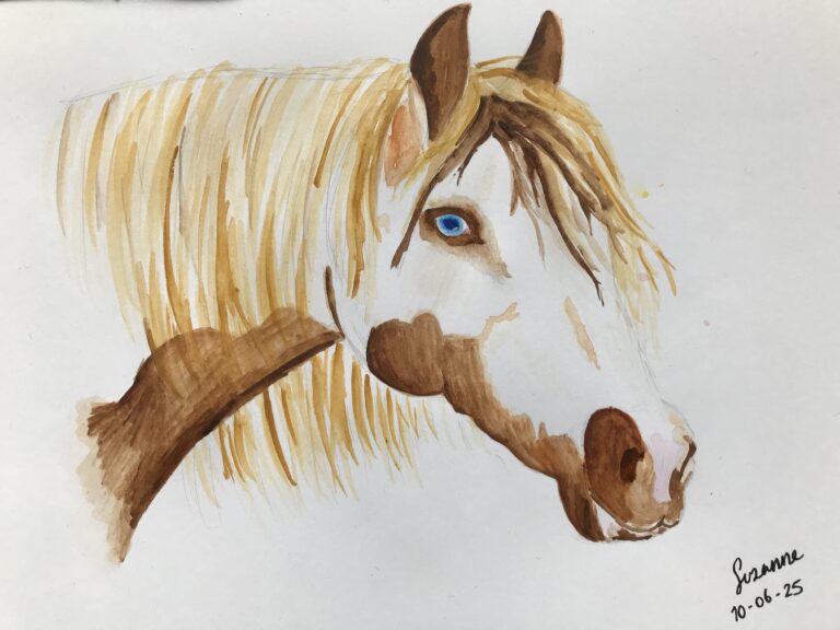 Wall eyed skewbald horse – Day 2