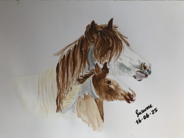 A Tinker family – Day 8