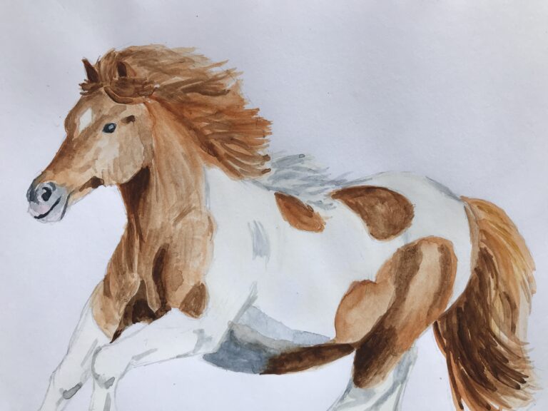 Drawing a cute cantering skewbald Shetland pony – Day 11
