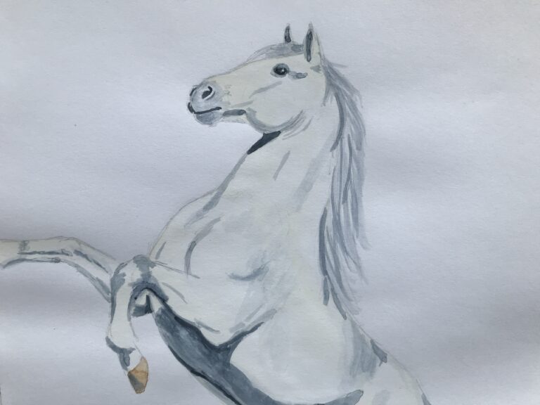 Drawing a rearing horse – Day 10