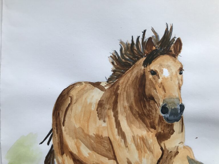Drawing a sturdy cantering horse – Day 9