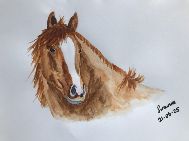 How to draw a brown horse with a white blaze – Day 13