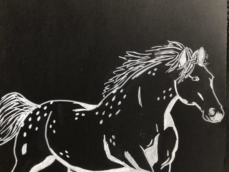 Black and white horse – Day 14