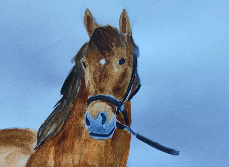 Drawing horses I know – Day 1 – Fynn