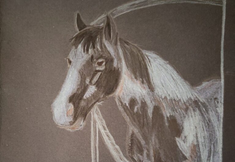 Drawing horses I know – Day 2 – Bounty