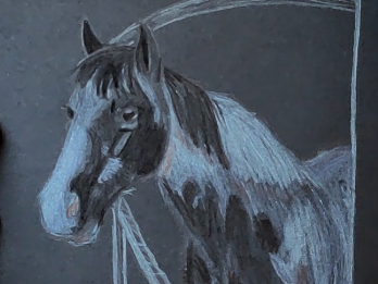 Drawing horses I know – Day 2 – Bounty